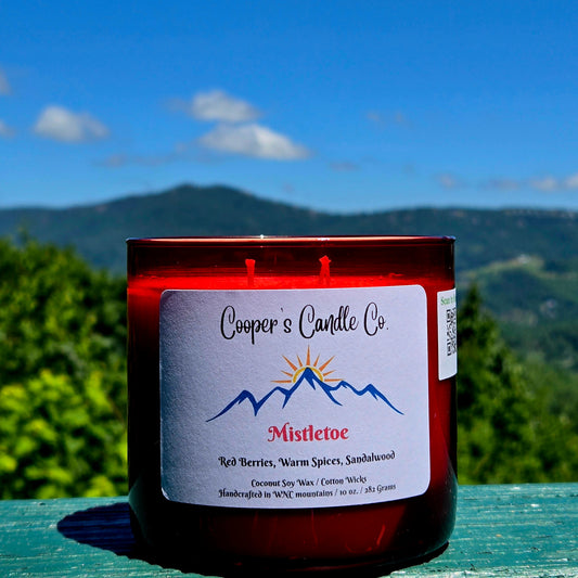 Mistletoe Coco-Soy Wax 3-Wick Enchanting Candle, 17 oz