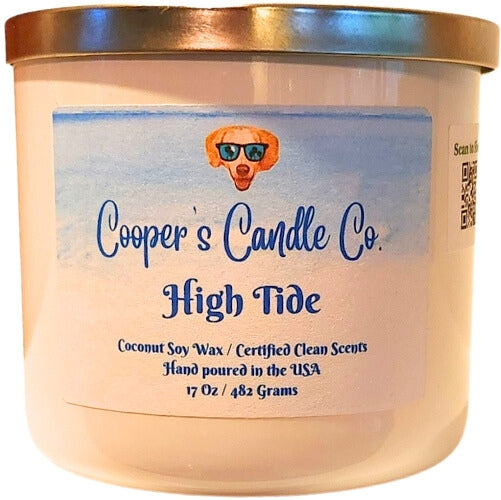 High Tide Scented Candle-Fresh ozone, citrus, salt, evoke the coast.