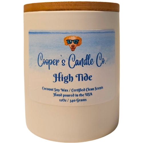 High Tide Scented Candle-Fresh ozone, citrus, salt, evoke the coast.